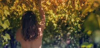 Der fkk club sharks in darmstadt bietet mehr als ein gewöhnliches bordell in frankfurt. Fkk Im Eigenen Garten Ist Das Erlaubt