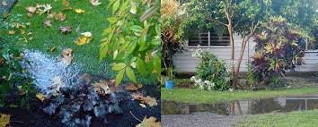 Maybe you would like to learn more about one of these? 4 Solutions When You Have Too Much Water In Your Garden Garden Weasel