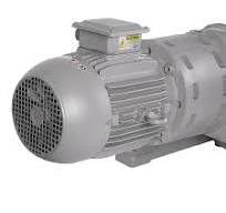 RV1000Y Roots vacuum pump - Dongguan Yazreid ...