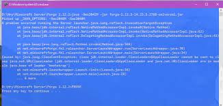 From the image we can see the error is: Cant Start A Forge Server Support Bug Reports Forge Forums