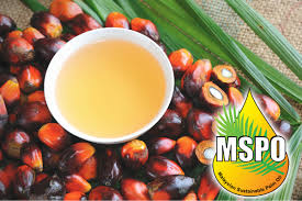 Sabah is the most production state in malaysia, with over 5. Malaysia Mandating Sustainable Palm Oil Certification 2018 11 30 Food Business News