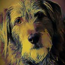 Serving the greater asheville, nc region. All Pets Animal Hospital Rehabilitation Center 34 Photos 21 Reviews Veterinarians 7 Reynolds Mountain Blvd Asheville Nc Phone Number Yelp