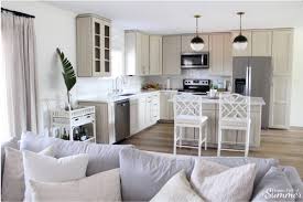 kitchen cabinet paint color reveal