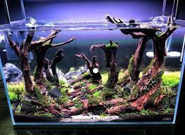 Deskripsi toko aquascape design jakarta. Jasa Pembuatan Aquascape Di Jakarta