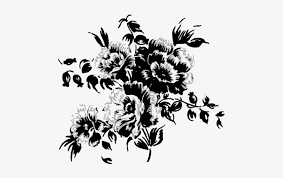 Download on freepik your photos psd icons or vectors of flower. Black And White Flowers Png Vector Bunga Orange Transparent Png 900x506 Free Download On Nicepng