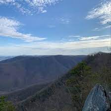 Daisy Slusher Daisy_ann02 - Profile Pinterest