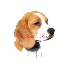 Image result for bígl