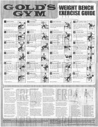 59 Rare Weider Exercise Chart