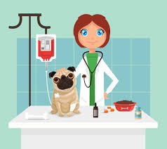 Check spelling or type a new query. Veterinario Vetor Ilustracion Plana Ilustraciones Vectoriales Clip Art Vectorizado Libre De Derechos Image 52702618