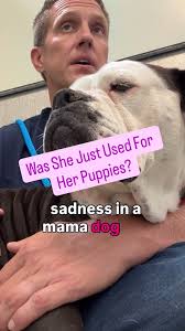 Watch me tell this mama dog that had her puppies taken she's a GOOD MAMA 🥹