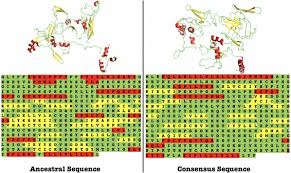 Per tanggal 17 juli 2020 notifikasi sms di nonaktikan , pergantian notifikasi akan diumumkan lebih lanjut Structural And Immunogenicity Analysis Of Reconstructed Ancestral And Consensus P48 45 For Cross Species Anti Malaria Transmission Blocking Vaccine Sciencedirect