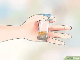 How To Recognize Symptoms Of Lactose Intolerance 7 Steps