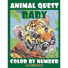 Free pokemon coloring pages for you to color in. Buy Baby Animal Quest Color By Number Activity Puzzle Coloring Book For Adults Relaxation Stress Relief Quest Color By Number Books Volume 3 Quest Coloring Books Paperback August 30 2017