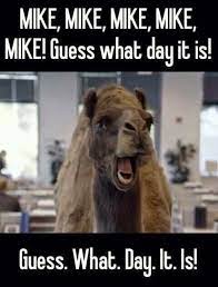 Going to be warm today.get out and enjoy. Pin On Cute Stuff