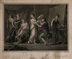 Image result for Zeuxine stammleri