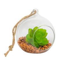It is planted to look like a miniature garden or an open container is best for succulents and cacti. Nicola Spring Glass Plant Terrarium Set For Succulent Plants Ferns Cactus Tabletop Or Hanging Display 100mm Buy Online In Grenada At Grenada Desertcart Com Productid 52418874