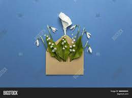 Jun 24, 2021 · rob: Spring Flowers Mail Image Photo Free Trial Bigstock