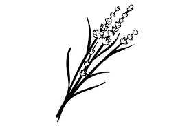 Free Free 190 Svg National Flower SVG PNG EPS DXF File