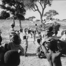 En wordpress.com forums › support customizer throwing error: Pdf Landscapes Of Diversity A Local Political Ecology Of Livelihood Diversification In South Western Niger