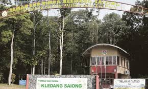 Kledang saiong forest eco park• 5 km from bandaraya #ipoh• located in the kledang saiong forest reserve• hill dipterocarp #forestenquiries:pejabat hutan. Taman Eko Rimba Kledang Saiong