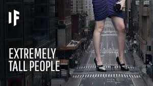 How many meters is 5,10 feet? What If Humans Were 5 Meters 16ft Tall Youtube