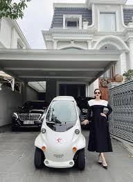 Ngắm những mẫu ô tô điện "xịn xò" có giá chỉ vài chục triệu, chị em "xúng  xính" ra phố thì nên sắm ngay!