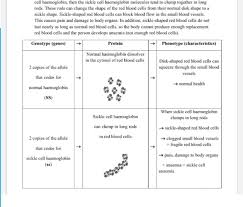 Solved Each Complete Haemoglobin Protein Has More Than 10