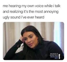 53 memes guaranteed to make you laugh stupid funny memes memes funny relatable memes