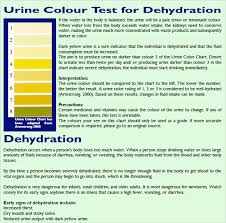 Water Intake Chart Pdf 2019