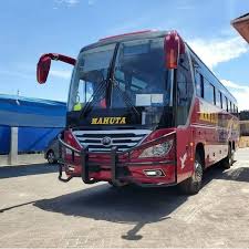 Image result for Maerua bussei