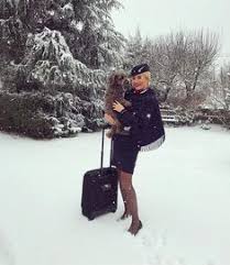 Pin On Sexy Stewardess