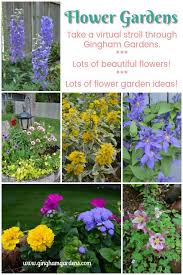 Flower Gardens Late Spring Blooms Gingham Gardens Flower Garden Vertical Herb Garden Flower Garden Design