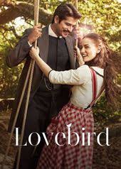 Lovebird Loved It Number 5 For Me Watched Charming Could Have Had A Little Better Ending Drama Tv Series What Is Netflix Netflix Series