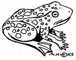 Check our collection of frog clipart free black and white, search and use these free images for powerpoint presentation, reports, websites, pdf, graphic design or any other project you are working on now. Frog Clip Art Gallery Image 8 Cliparting Com