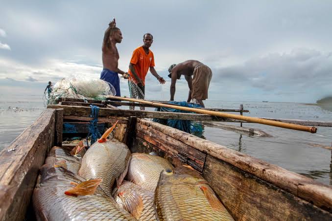 Pembangunan KNMP di Supiori dan Biak Diharapkan Perkuat Ekonomi Pesisir Papua