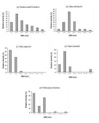 Image result for Pouteria adolfi-friederici