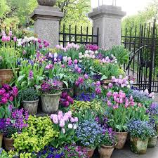 Pin On Gardens