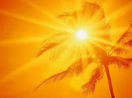 Image result for summer sun light