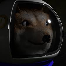 Doge meme wallpaper these pictures of this page are about:doge hat 1080x1080. Artstation Doge Jason Armstrong