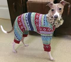 Pin On Dog Pajamas