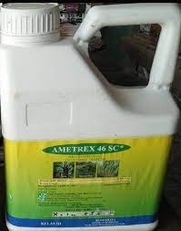 Taman merupakan bagian estetika hunian yang memiliki banyak manfaat. Anim Agro Technology Racun Rumpai Ametrex 46sc Apa Dia