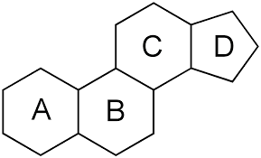 Struktur von cholestan , einem steroid mit 27 kohlenstoffatomen. Grundgerust Naturstoffe Forschung