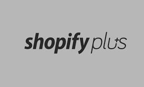 This is the enterprise solution for much larger businesses who need to scale at an incredible pace. Shopify Plus Partner What Are They And What Do They Do Pixafy