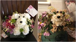 Japanese dog wearing cardboard cutouts will make you smile. Well A Dog Made Out Of Flowers Sounded Like A Cute Idea Gardening