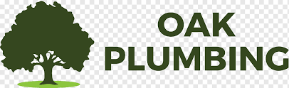 Professional drain cleaning, plumbing and septic services of northern michigan. Roto Rooter Plumbing Drain Service Oak Plumbing Vacaville Plumber Business Others Leaf Text Bathroom Png Pngwing
