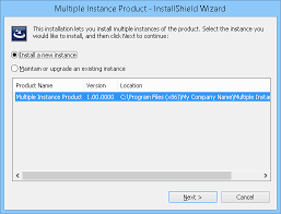 Creating a nested virtual directory specifying timeout parameters for a web site or virtual directory configuring additional iis virtual directory settings the new project wizard helps you to select different installshield express project types with. Run Time Behavior For Installing Multiple Instances Of A Product