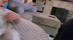 Sad news of the kelly family today, tuesday, april 20th, 2021: Kelly Family Milkshake 1 26 2021 Youtube