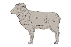 We did not find results for: Lamb Cuts Explained How To Cook Different Cuts Of Lamb