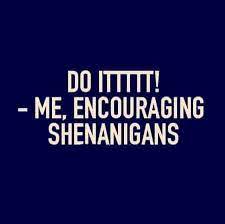 What is the meaning of shenanigans? 14 Shenanigans Quotes Ideas Shenanigans Quotes Shenanigans Quotes