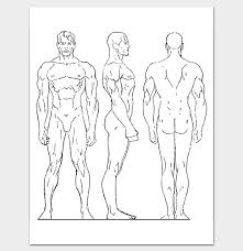 Male Human Body Outline Template Body Template Body Outline Outline